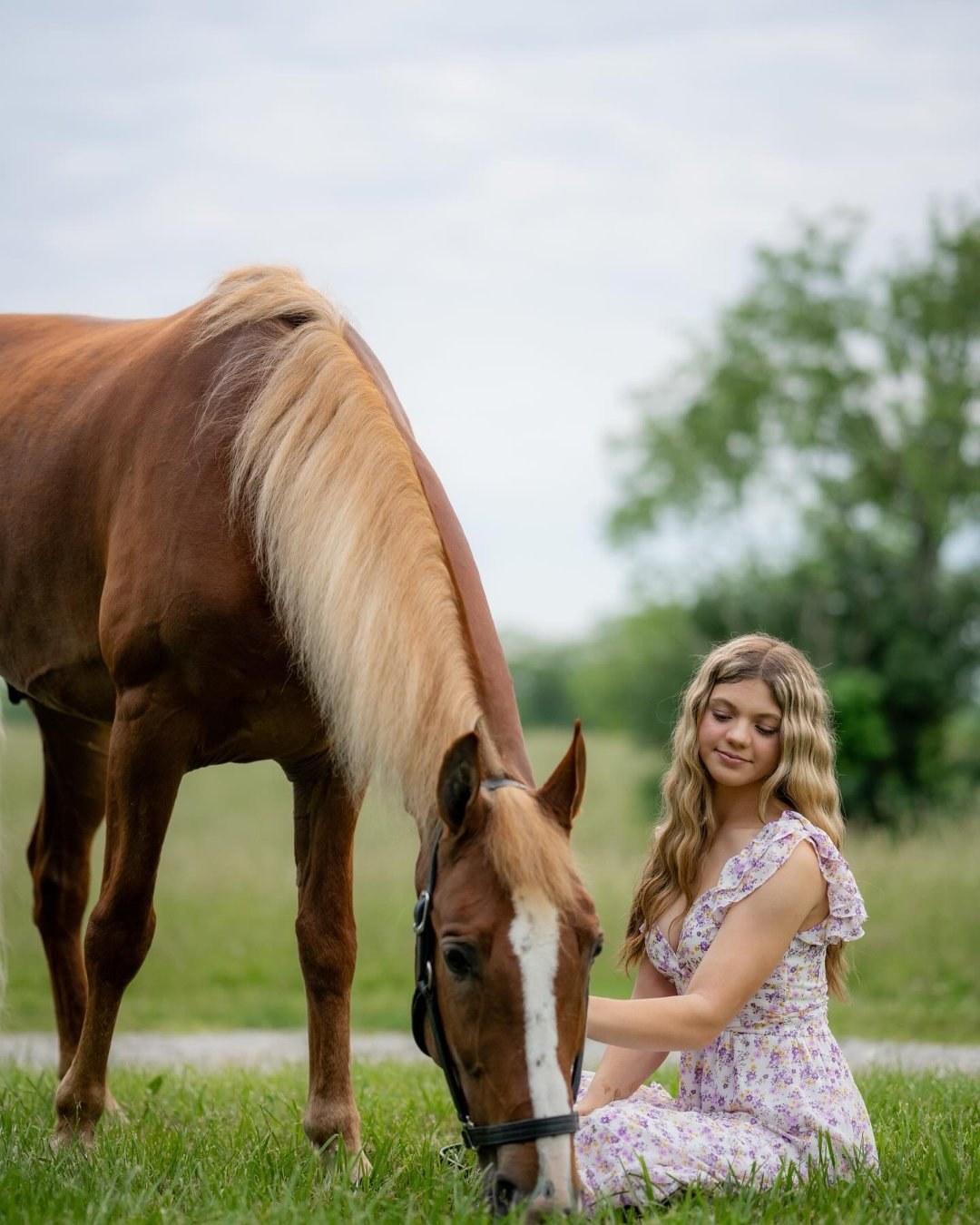Rylee Eilerman kneeling in a meadow beside a grazing chestnut horse.